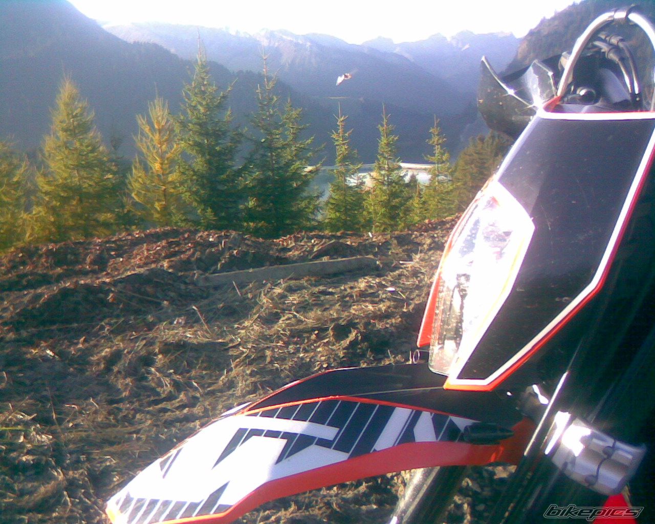 2008 KTM 660 SMC | Picture 1467482 motorcycle photo