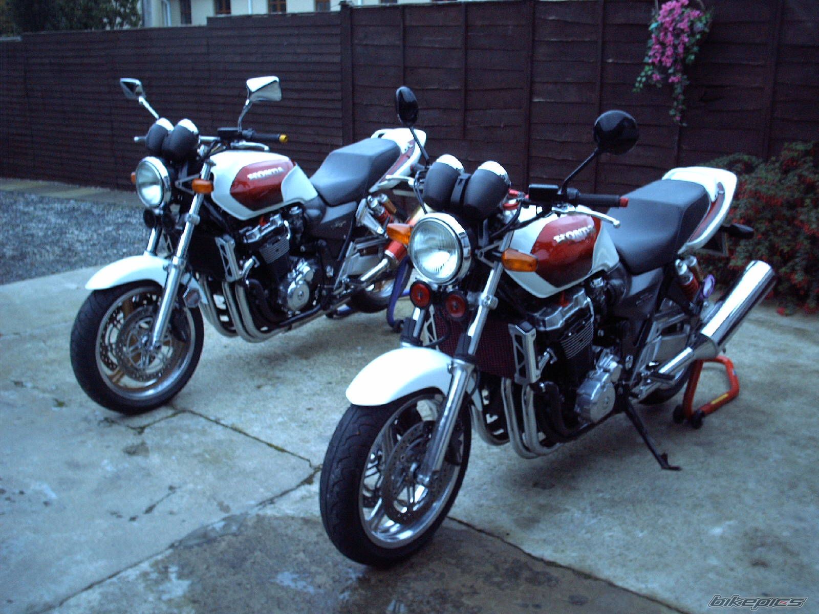 1999 HONDA CB1300 | Picture 1467689 motorcycle photo