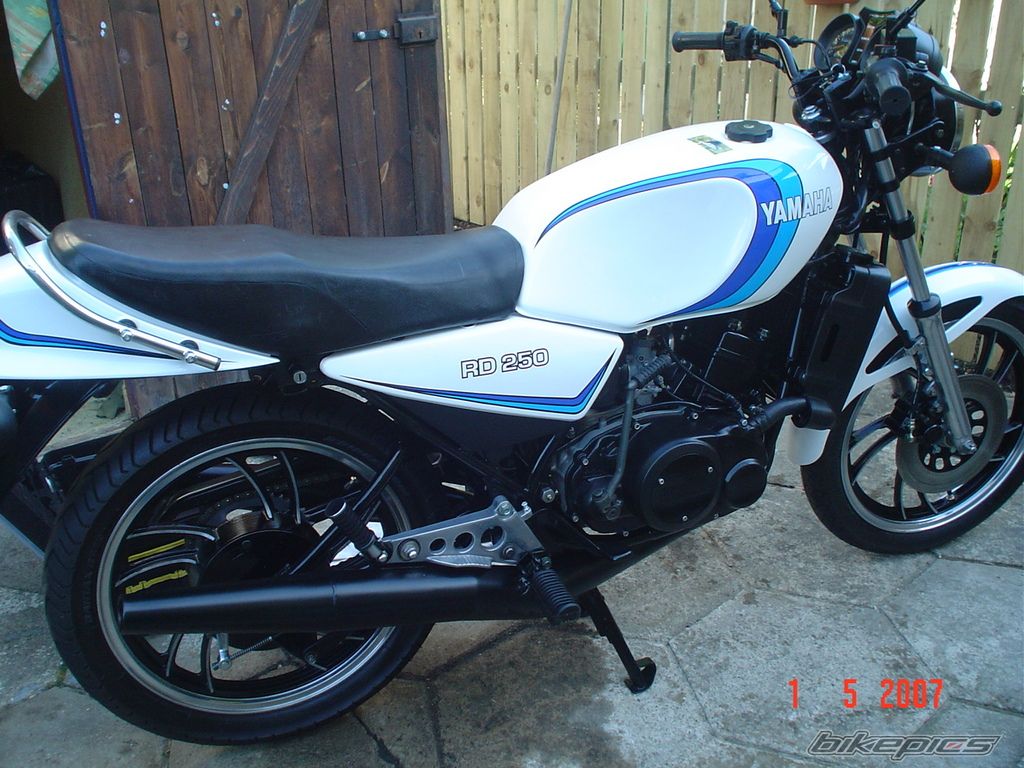 1981 YAMAHA RD 250 | Picture 1467693 motorcycle photo