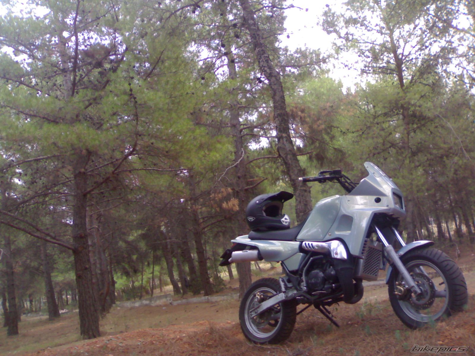 2009 YAMAHA TDR 50 | Picture 1468034 motorcycle photo