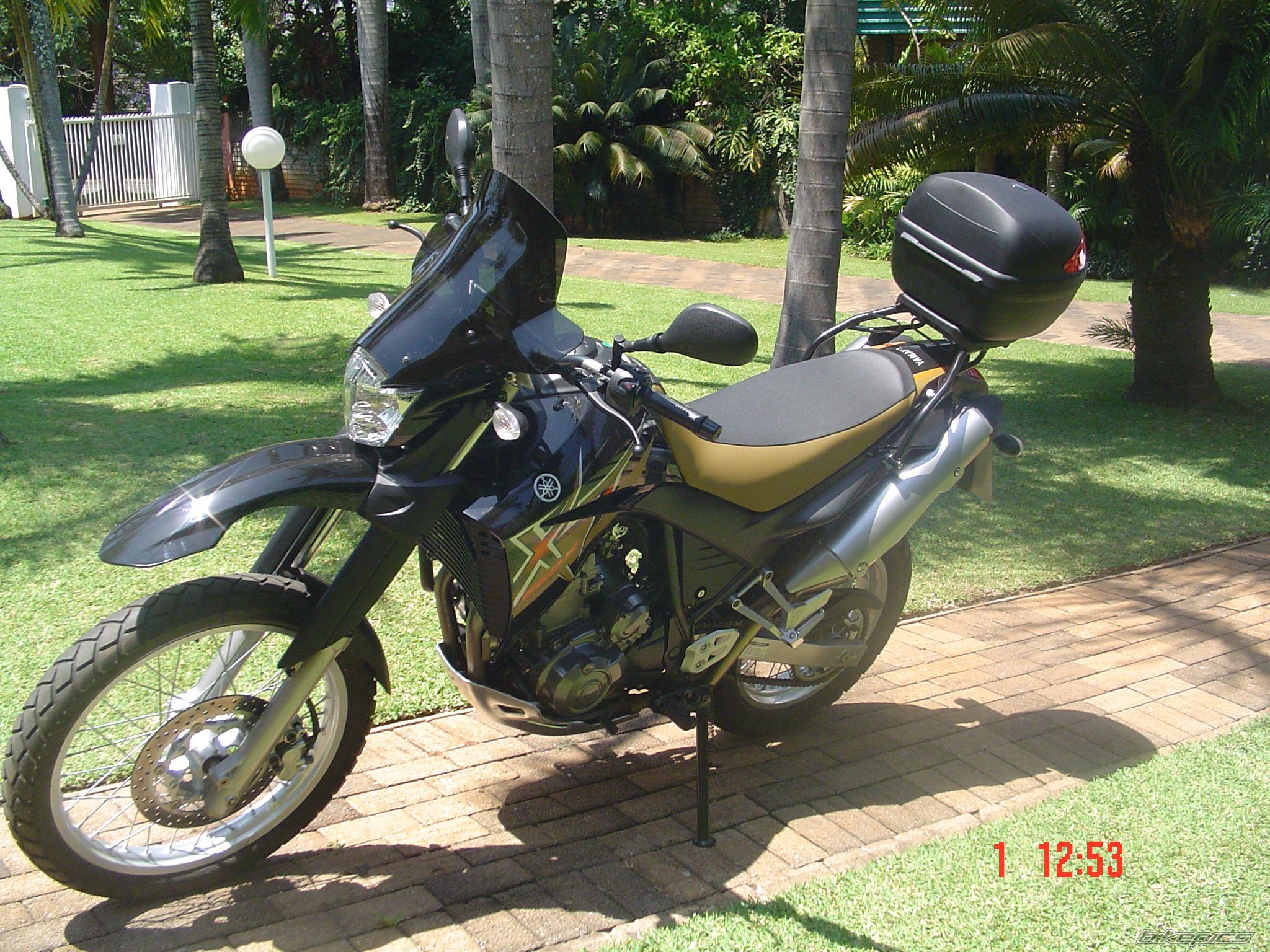 2008 YAMAHA XT 660 | Picture 1468245 motorcycle photo