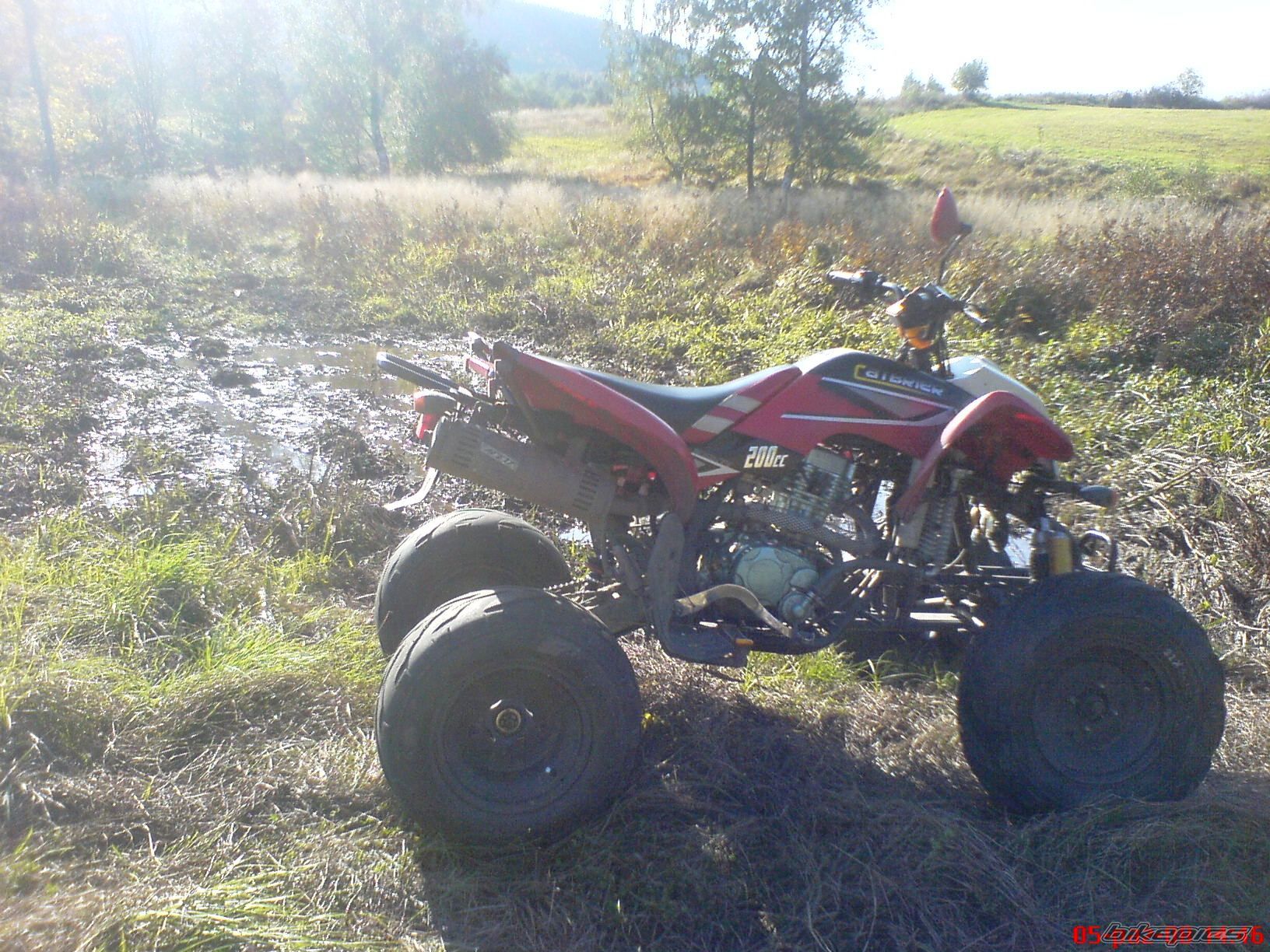 2007 BASHAN BS 200 | Picture 1468665 motorcycle photo