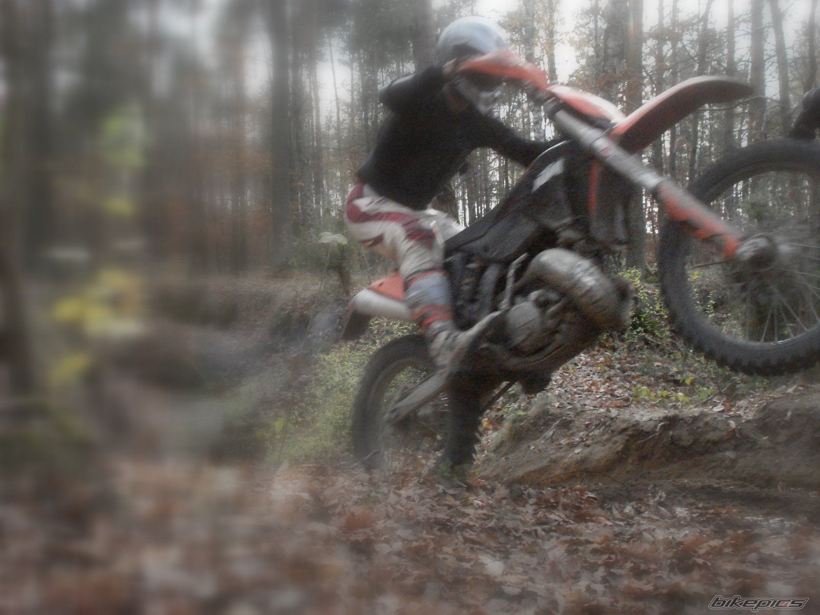 2009 KTM 200 EXC | Picture 1468820 motorcycle photo