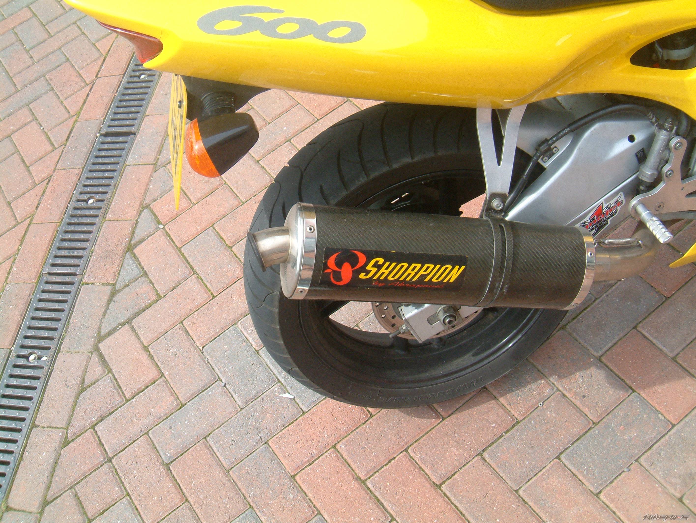 1998 HONDA CBR 600 | Picture 146922 motorcycle photo