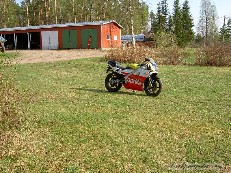 1993 APRILIA AF1 SPORT PRO 125 | Picture 146923 motorcycle photo