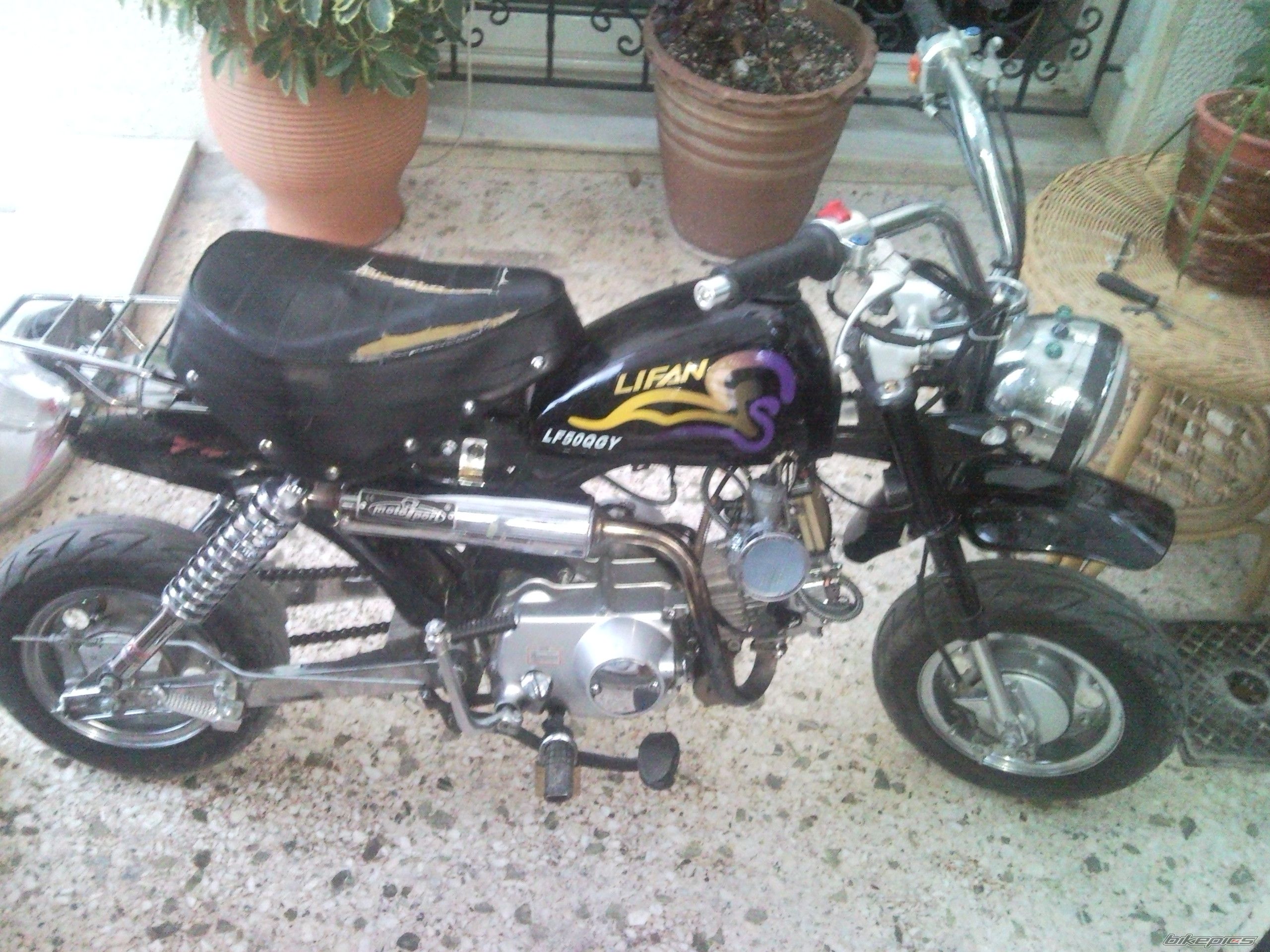 2008 LIFAN LF 50 | Picture 1469667 motorcycle photo