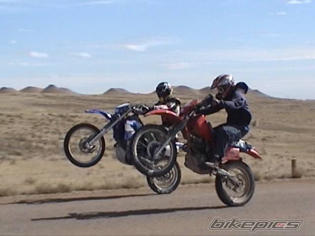 1998 YAMAHA WR 400F | Picture 146985 motorcycle photo