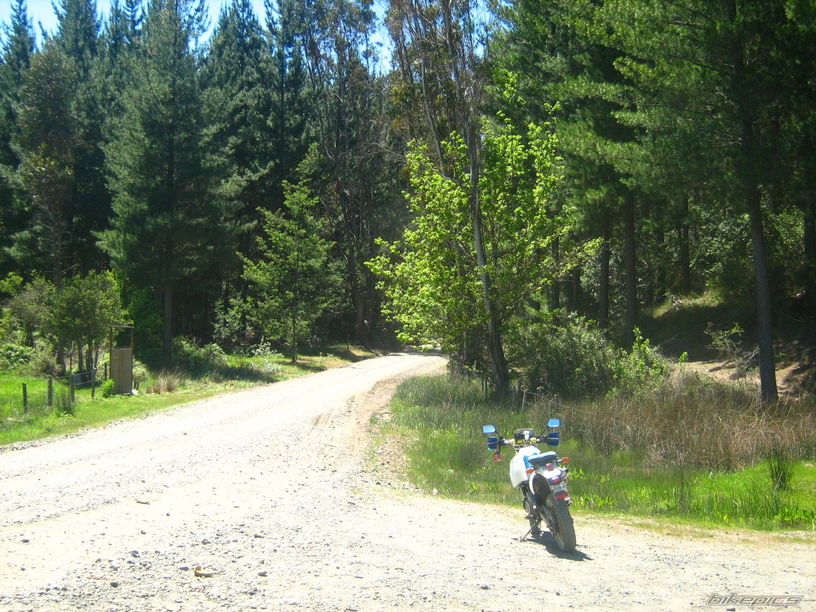 1995 SUZUKI DR 650 | Picture 1469950 motorcycle photo