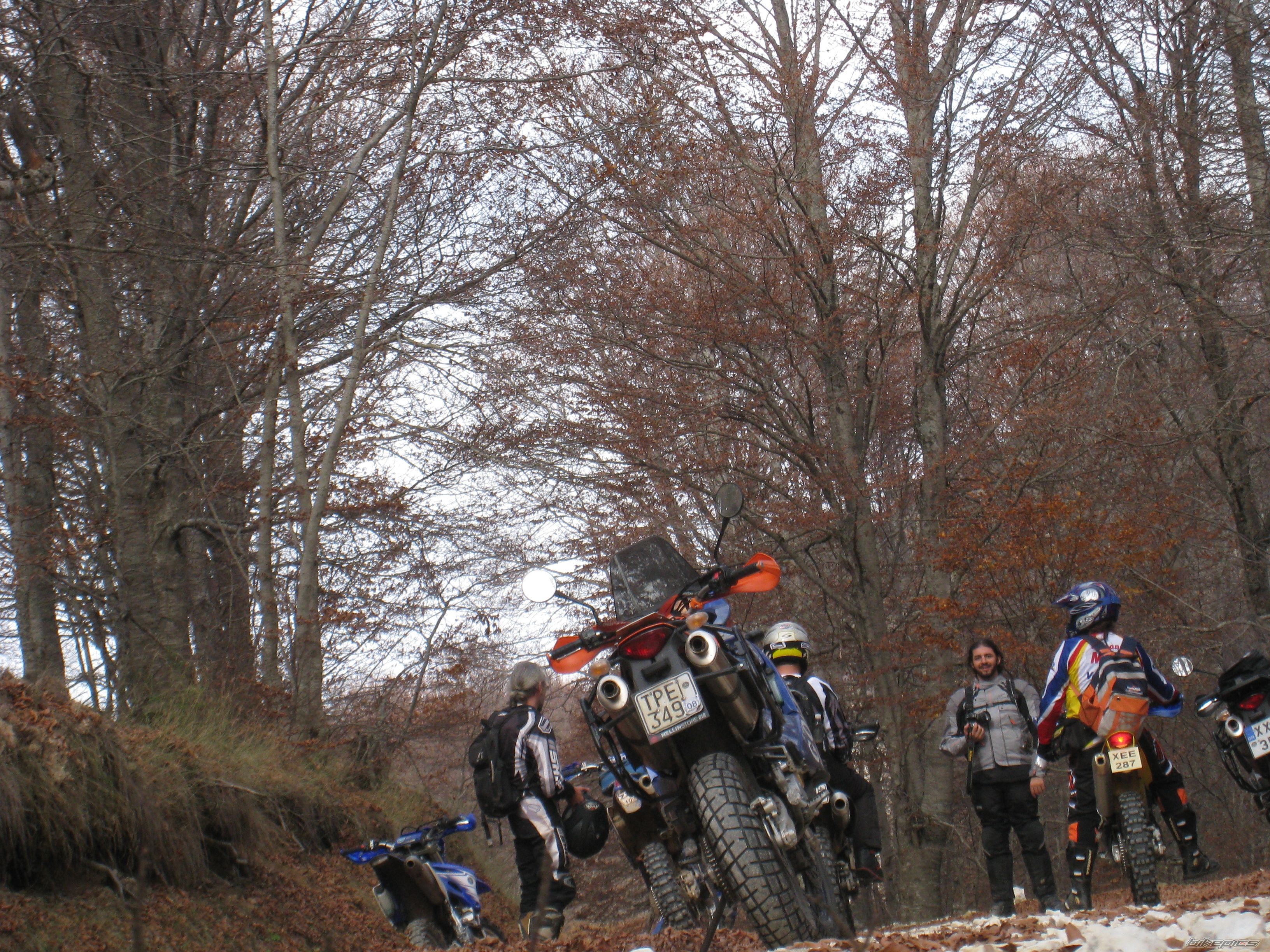 2004 KTM 950 ADVENTURE | Picture 1470213 motorcycle photo