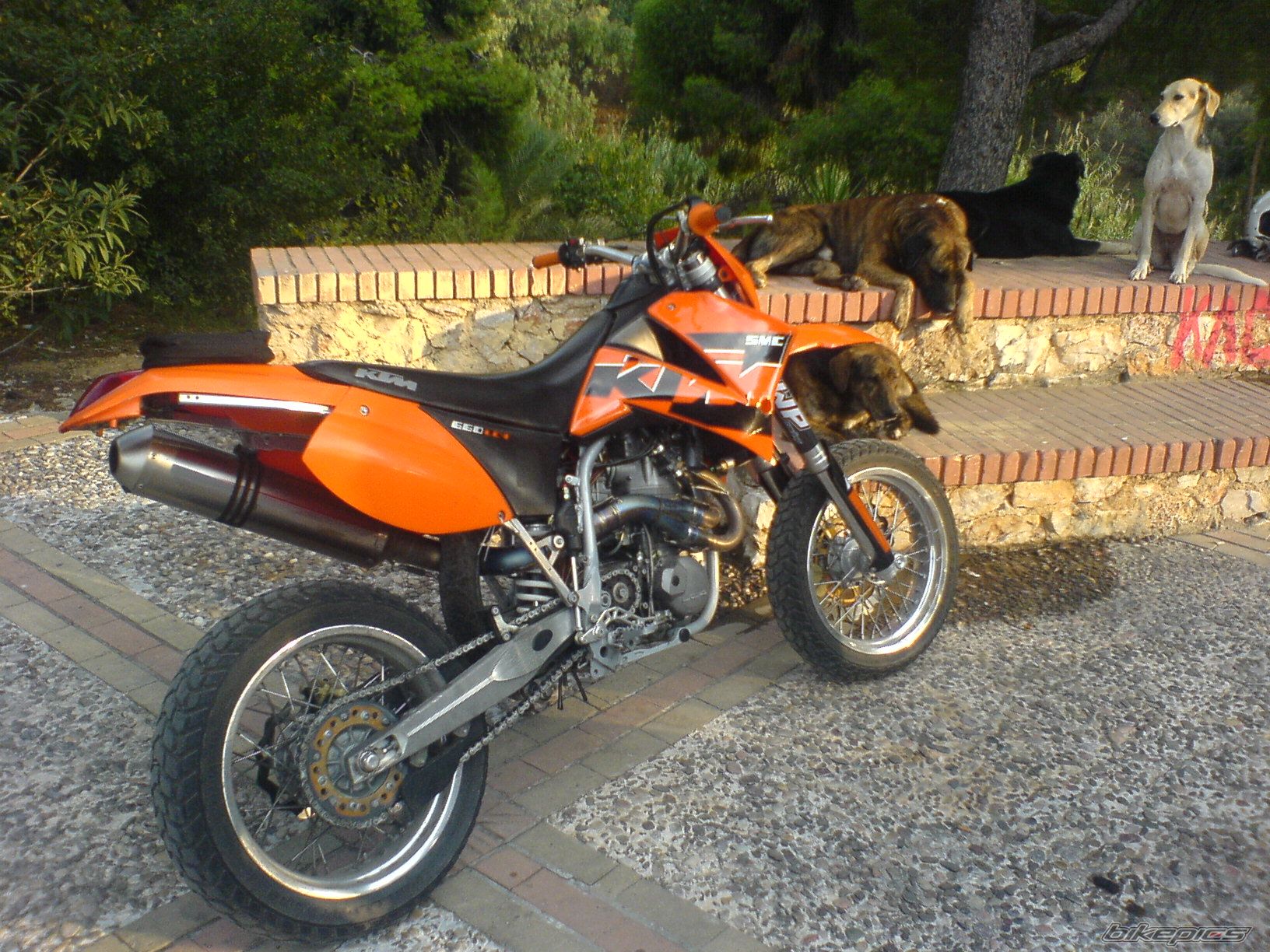 2004 KTM 660 SMC | Picture 1470278 motorcycle photo