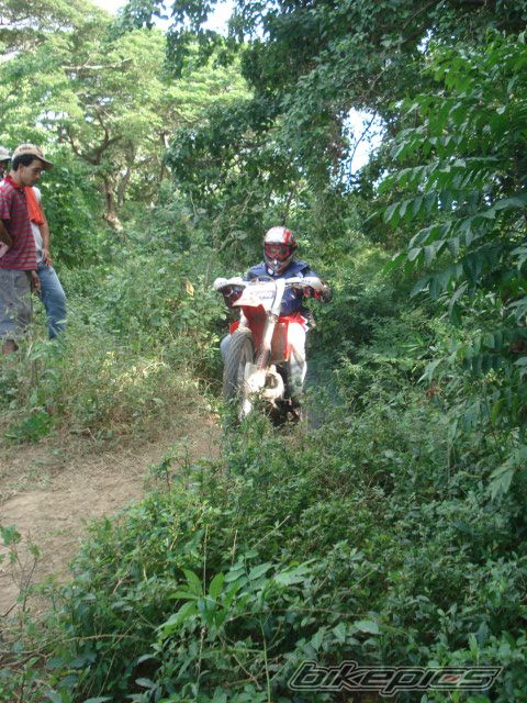 2001 HONDA CR 250 | Picture 1470494 motorcycle photo