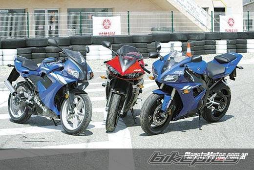 2004 YAMAHA TZR 50 | Picture 147050 motorcycle photo