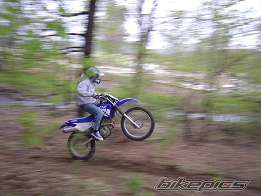 2002 YAMAHA TTR 225 | Picture 147057 motorcycle photo