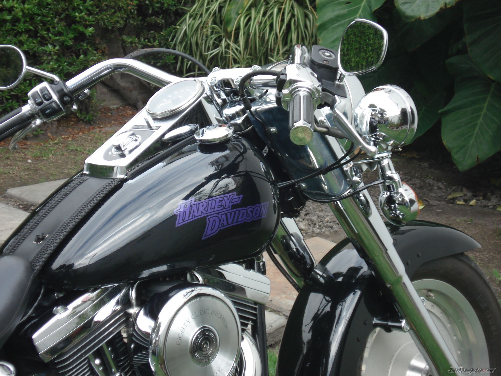 1999 HARLEY DAVIDSON FLSTF | Picture 1470809 motorcycle photo