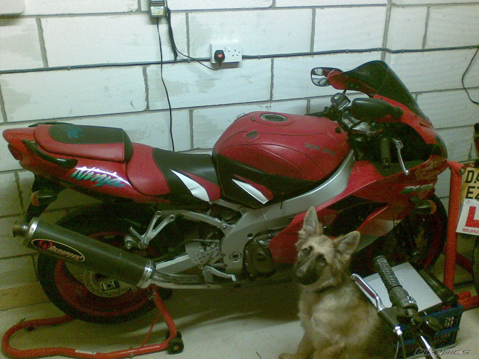 2000 KAWASAKI ZX 9R | Picture 1470875 motorcycle photo