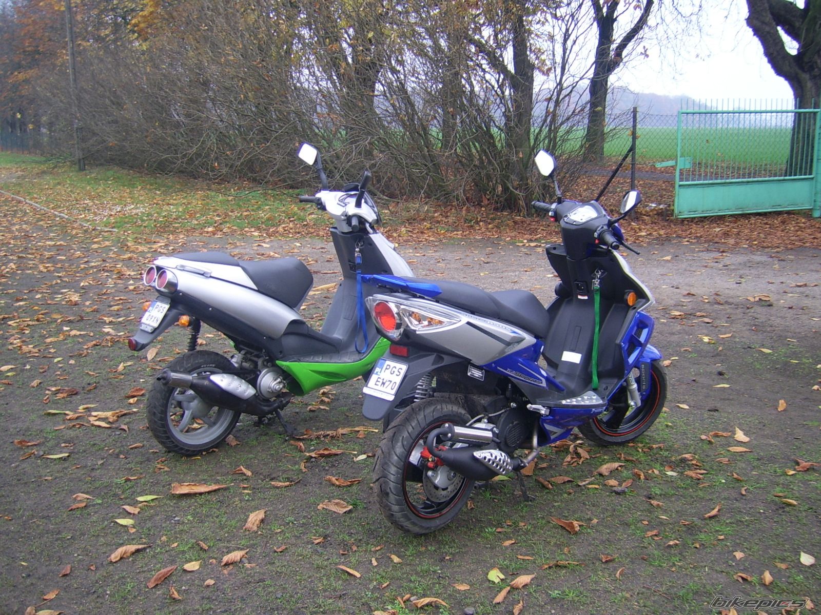 2008 TGB RACING 50 XTREME | Picture 1471709 motorcycle photo