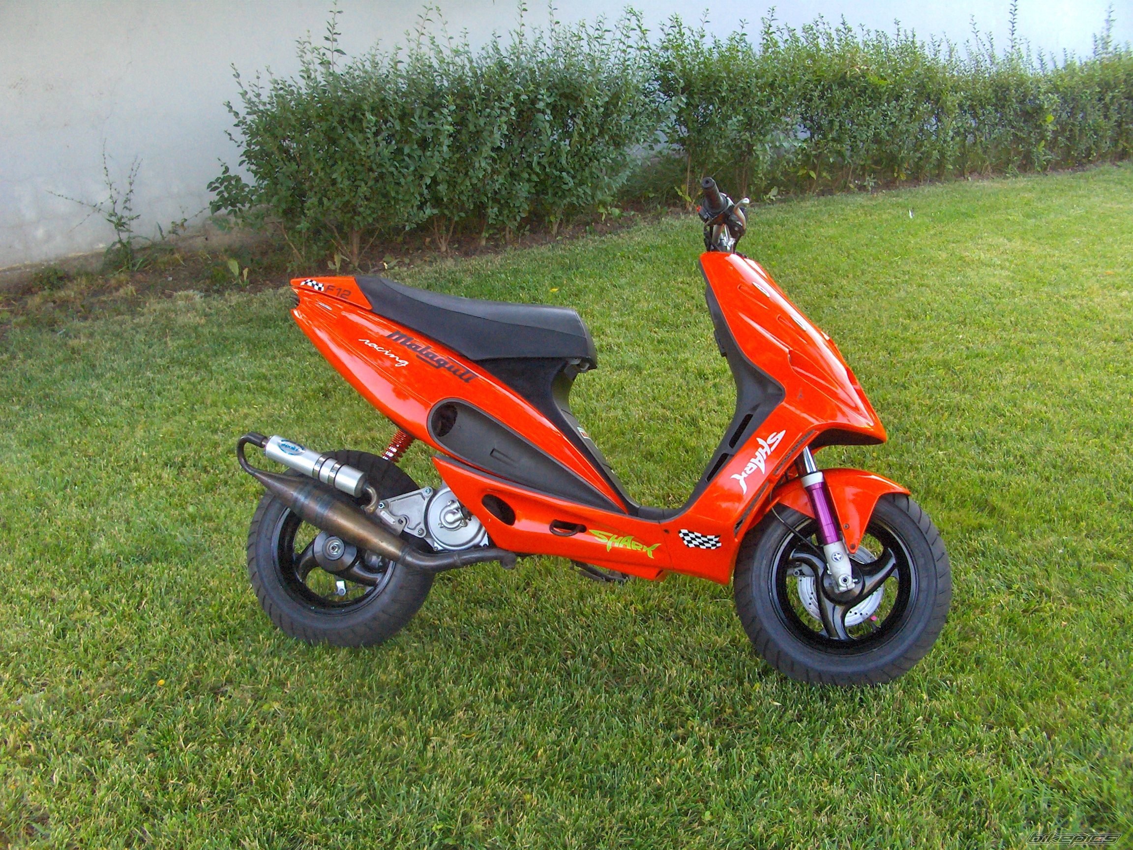 1995 MALAGUTI PHANTOM 50 F12 | Picture 1472612 motorcycle photo