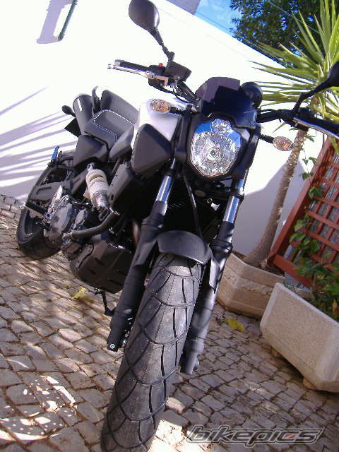 2009 YAMAHA MT 03 | Picture 1472632 motorcycle photo