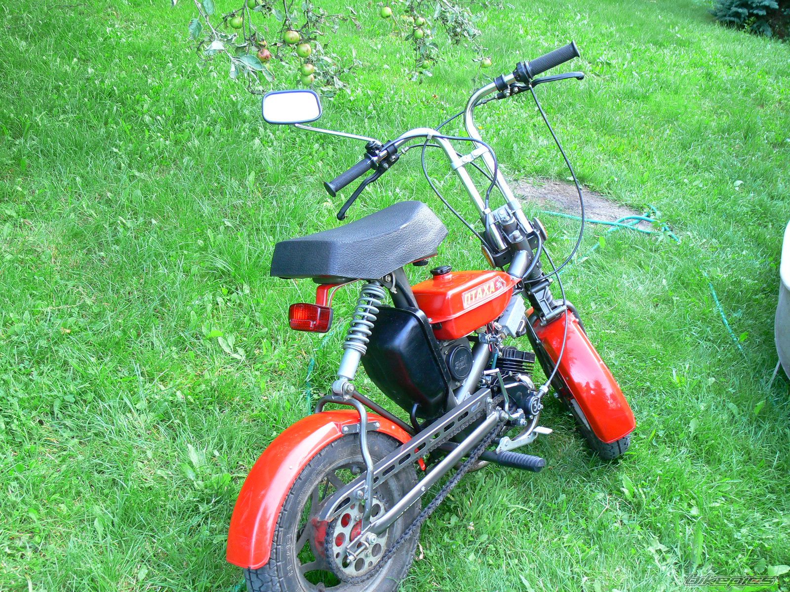 1994 ZID PTAHA | Picture 1472849 motorcycle photo