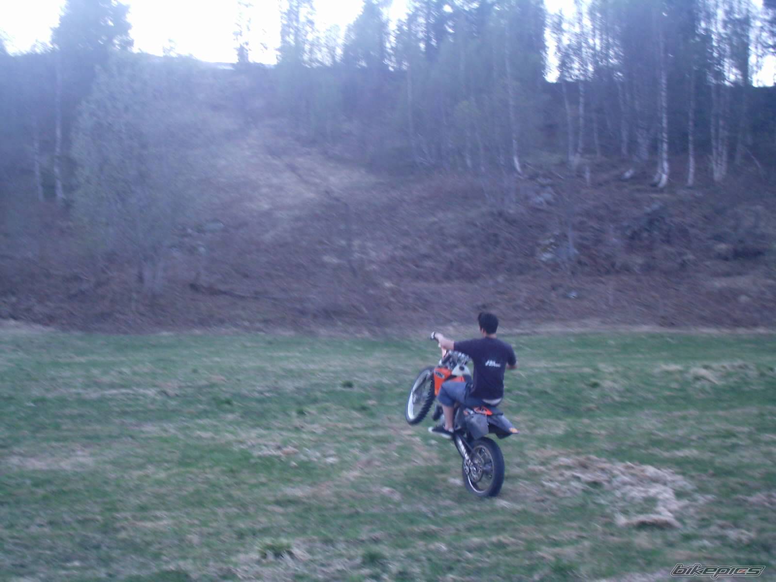 2002 KTM 250 EXC | Picture 147285 motorcycle photo