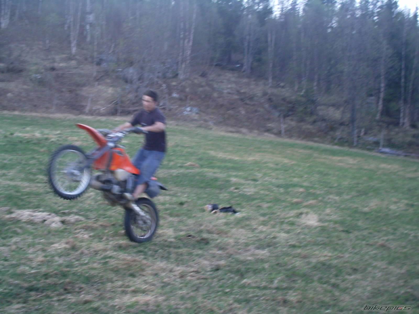 2002 KTM 250 EXC | Picture 147287 motorcycle photo