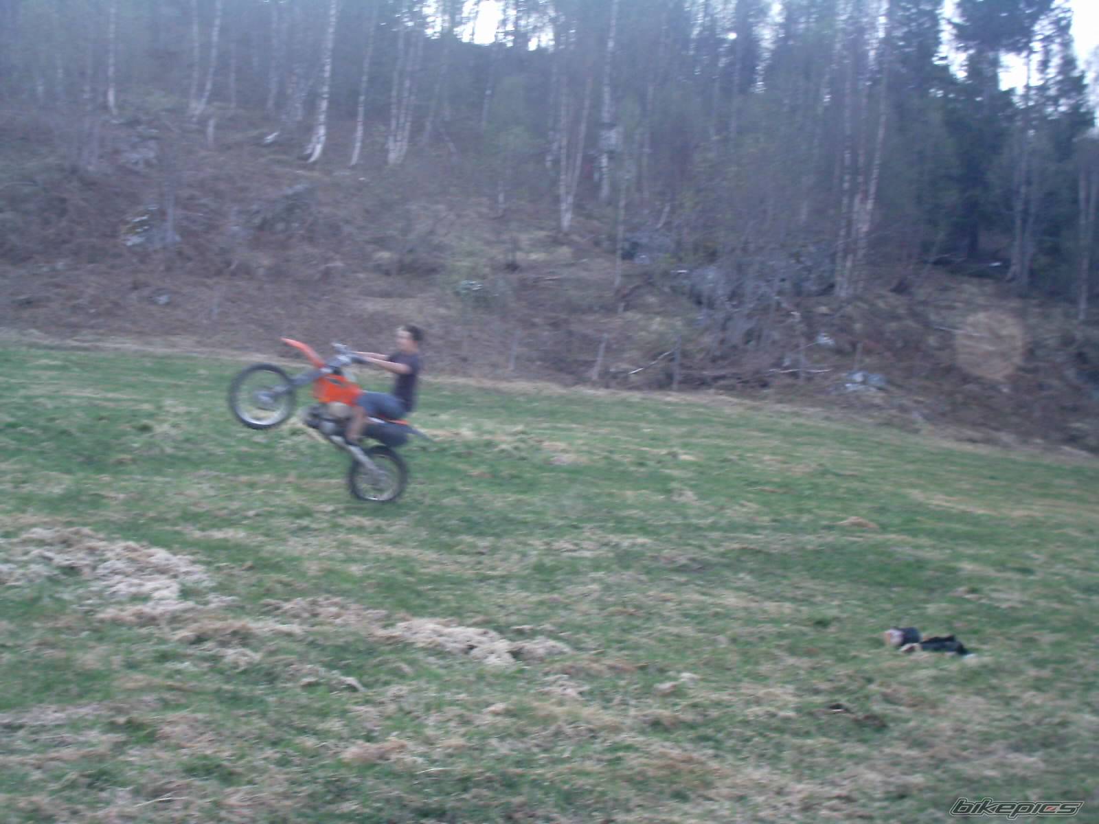 2002 KTM 250 EXC | Picture 147289 motorcycle photo