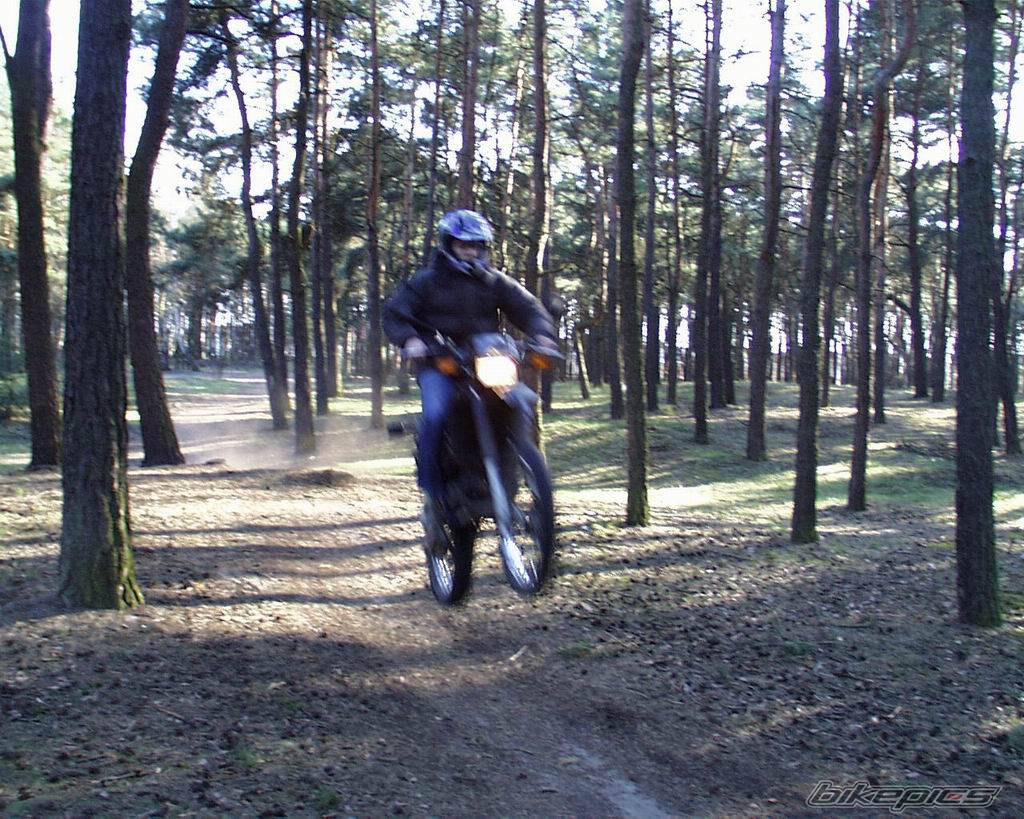 1994 YAMAHA DT 80 | Picture 147321 motorcycle photo