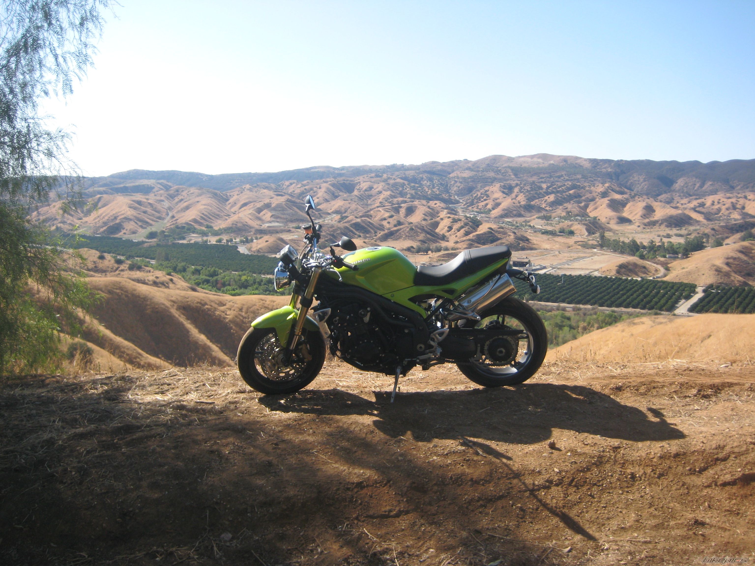 2007 TRIUMPH SPEED TRIPLE | Picture 1473332 motorcycle photo