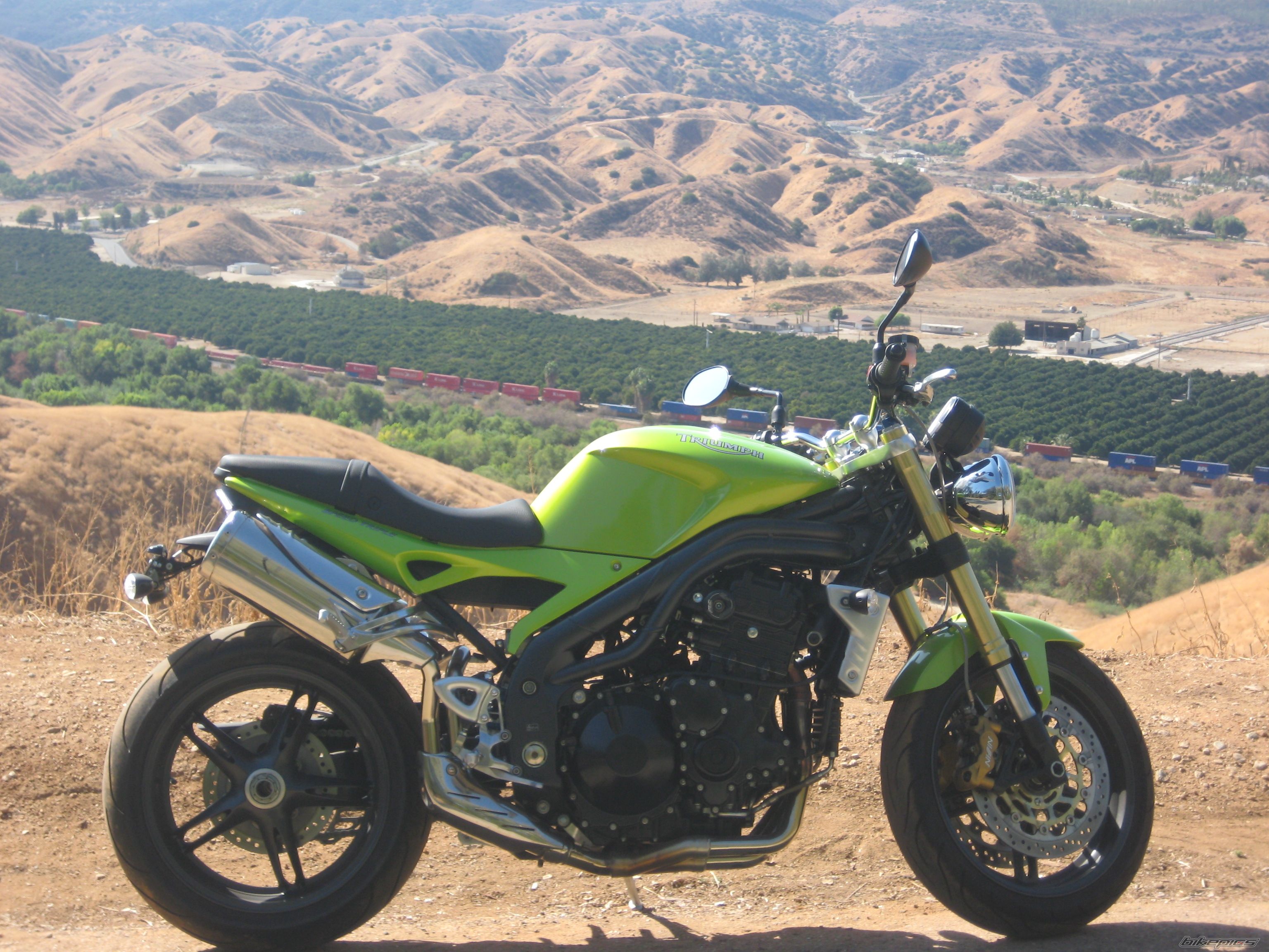 2007 TRIUMPH SPEED TRIPLE | Picture 1473338 motorcycle photo