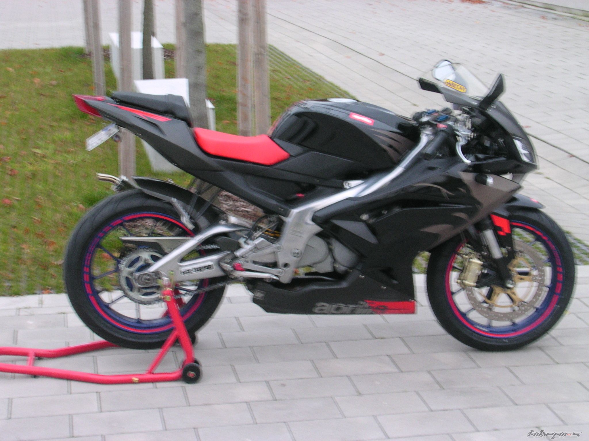 2009 APRILIA RS 125 | Picture 1473955 motorcycle photo