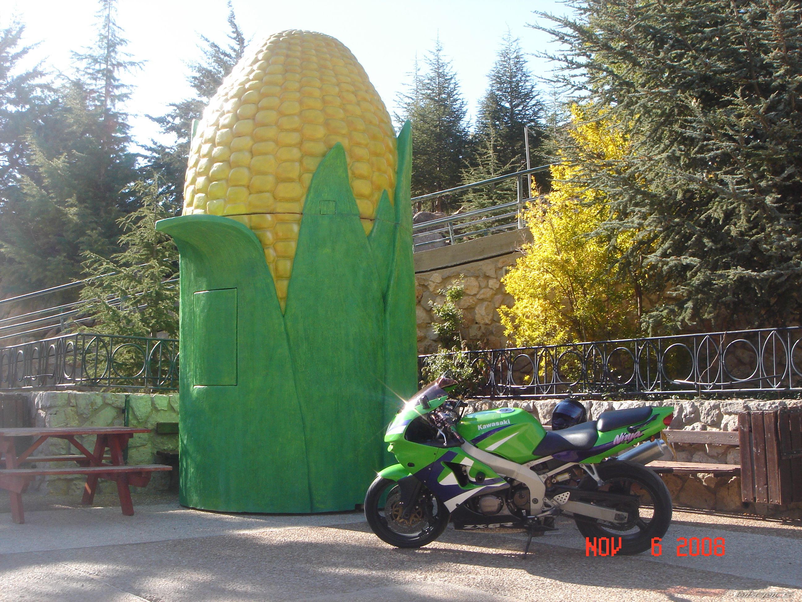 1999 KAWASAKI ZX 6R | Picture 1474034 motorcycle photo