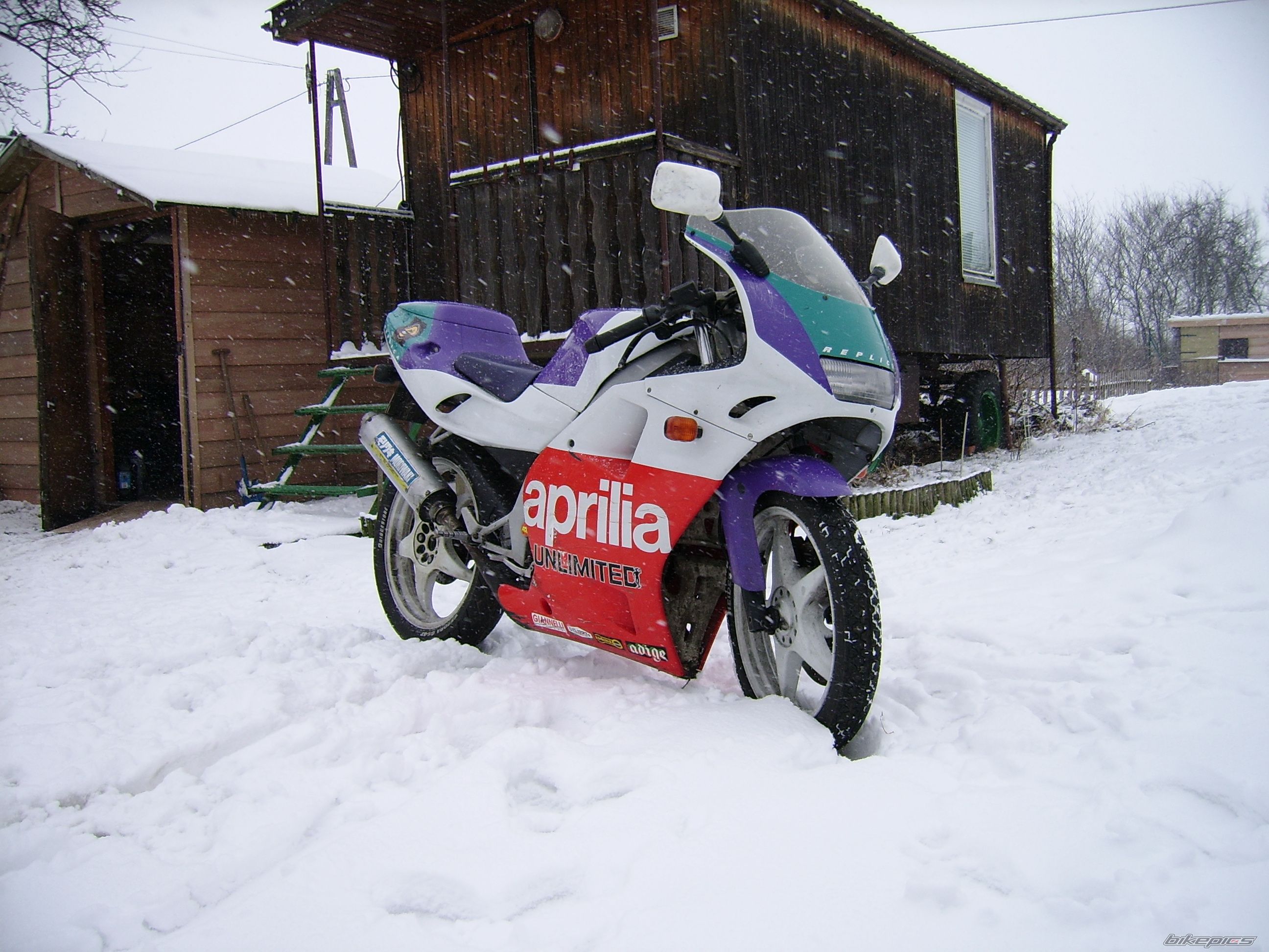 1992 APRILIA AF1 REPLICA 50 | Picture 1474115 motorcycle photo
