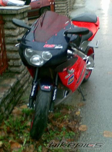 1999 APRILIA RSV 1000 MILLE | Picture 1474207 motorcycle photo
