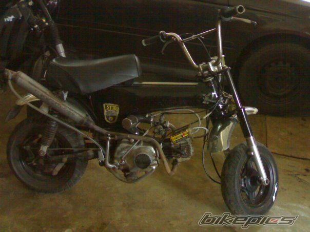 2008 HONDA DAX ST70 | Picture 1475066 motorcycle photo