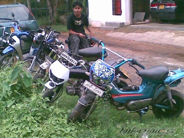 2008 HONDA DAX ST70 | Picture 1475068 motorcycle photo