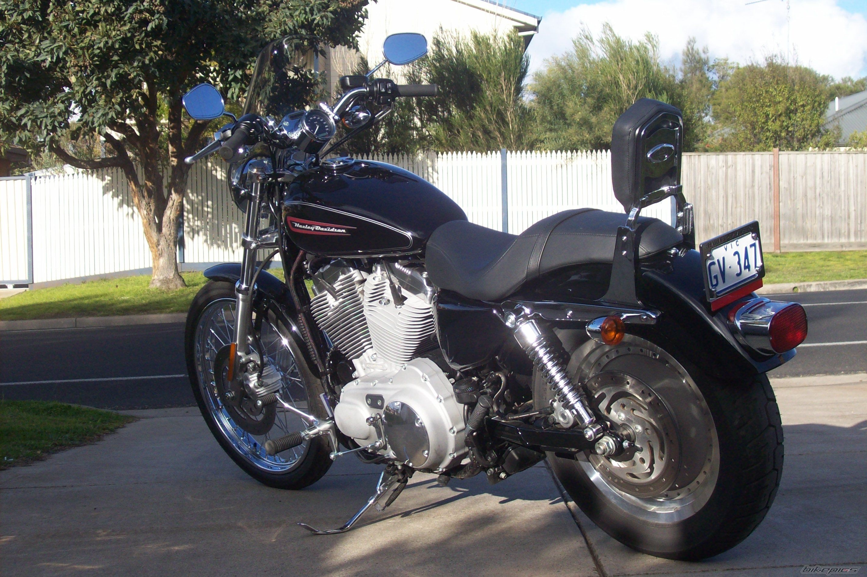 2008 HARLEY DAVIDSON XL 883C | Picture 1475137 motorcycle photo