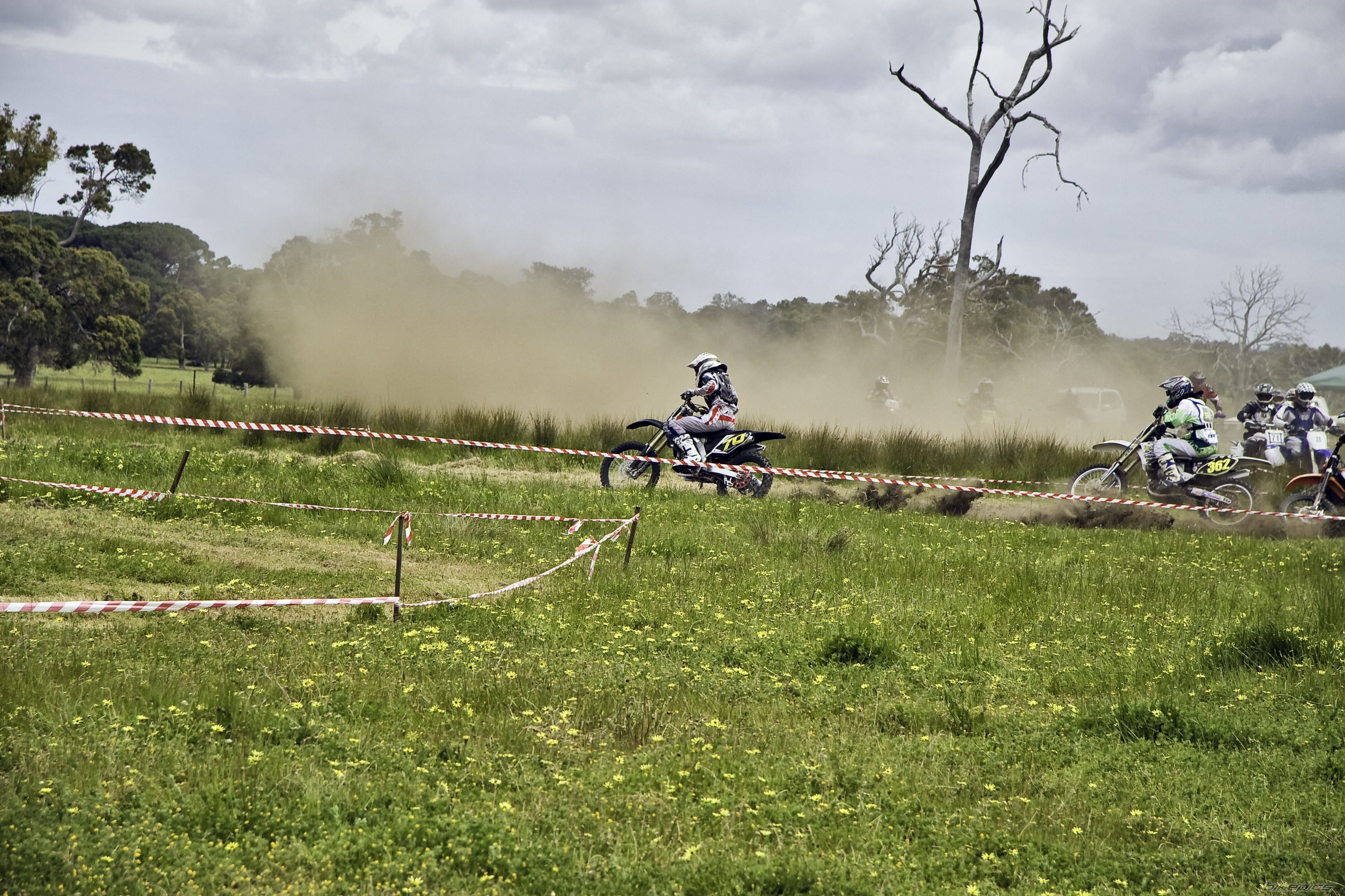 2008 HONDA CRF 250 | Picture 1475242 motorcycle photo