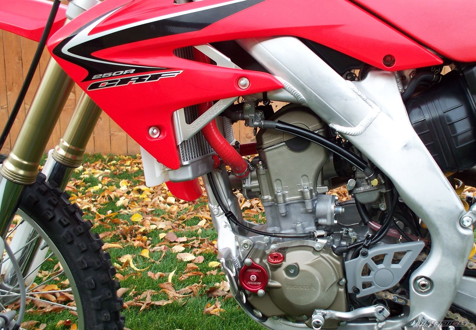 2008 HONDA CRF 250 | Picture 1475719 motorcycle photo