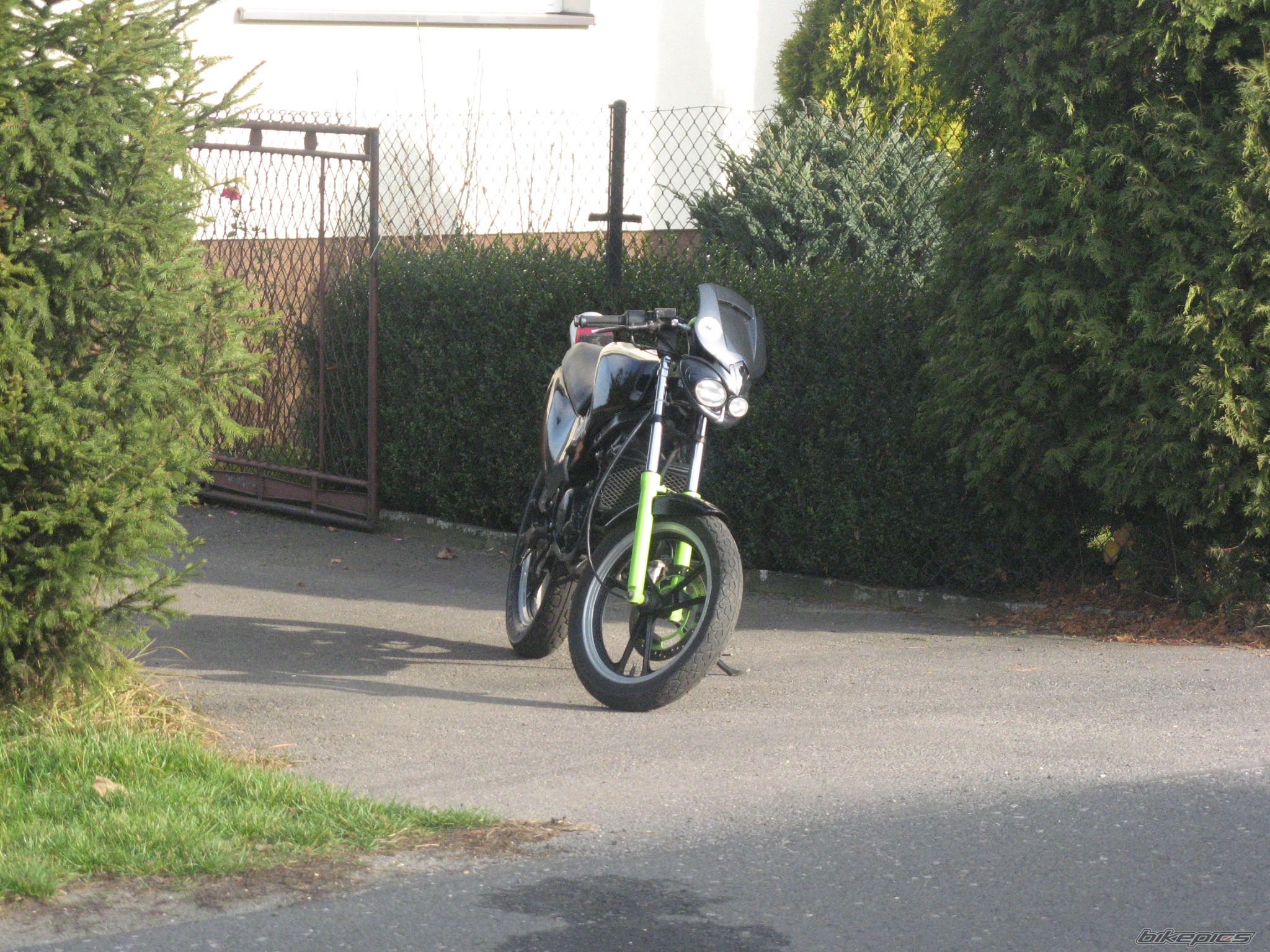 1993 SUZUKI RG 80 | Picture 1475840 motorcycle photo
