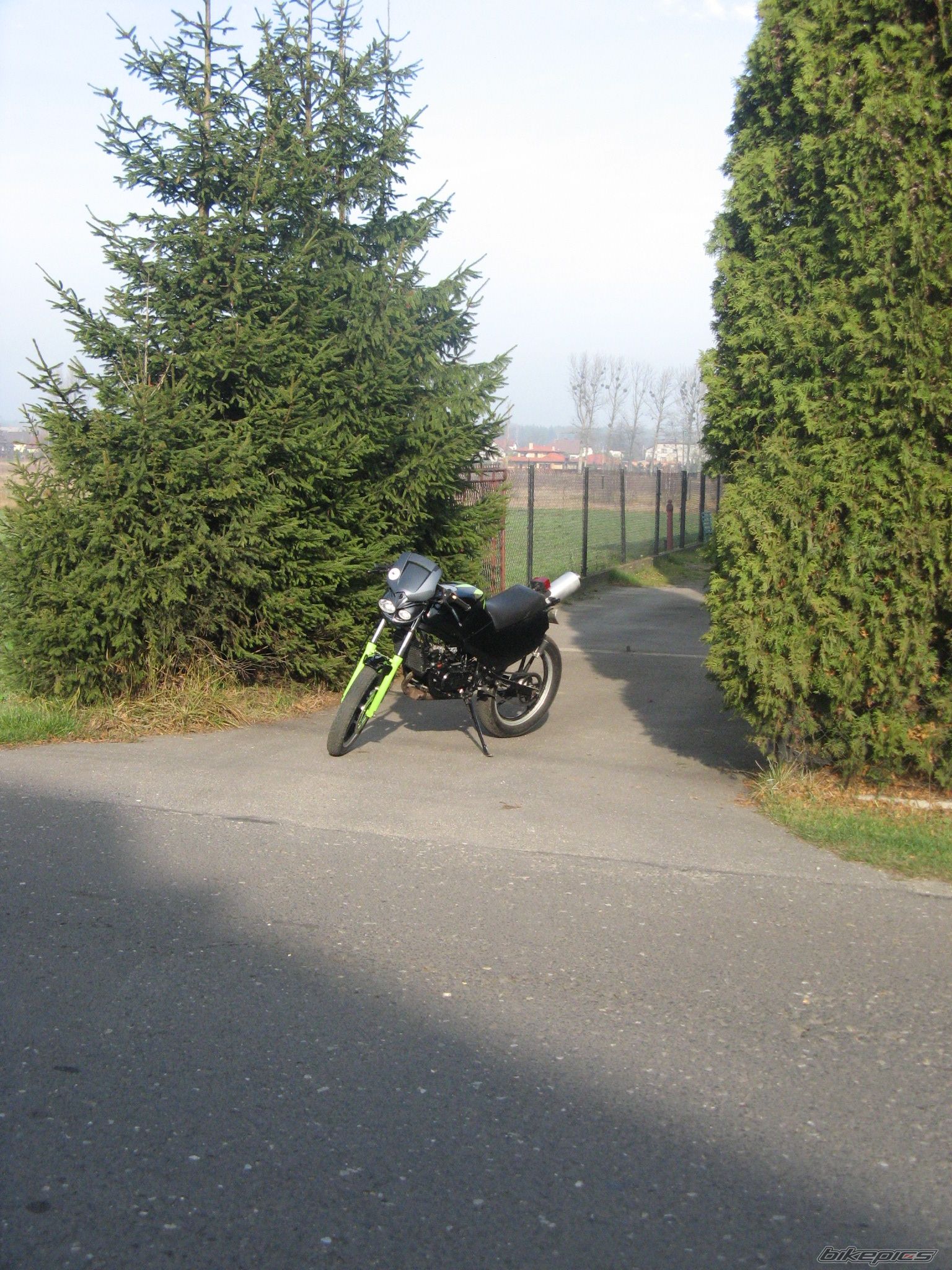 1993 SUZUKI RG 80 | Picture 1475874 motorcycle photo