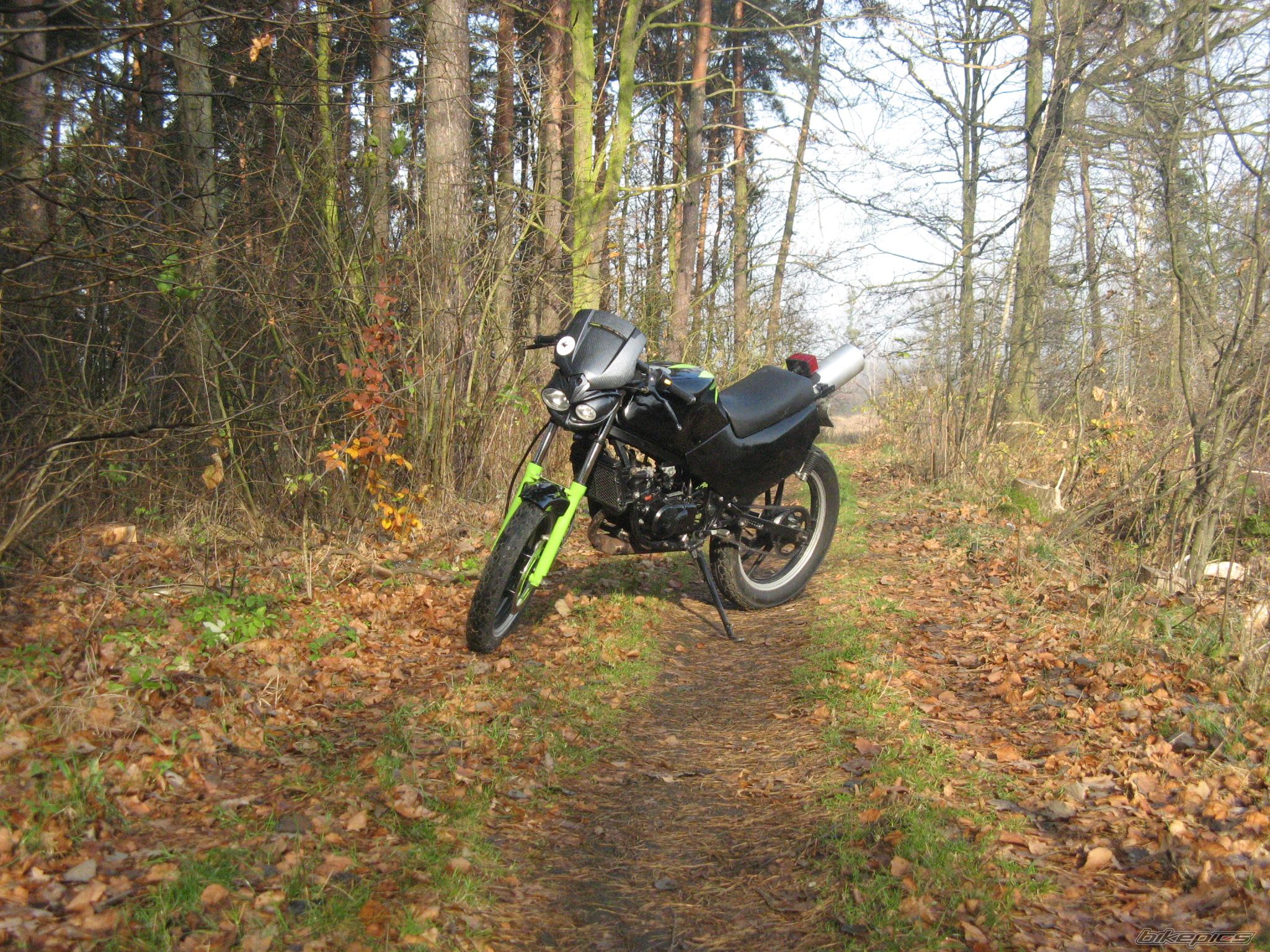 1993 SUZUKI RG 80 | Picture 1476157 motorcycle photo