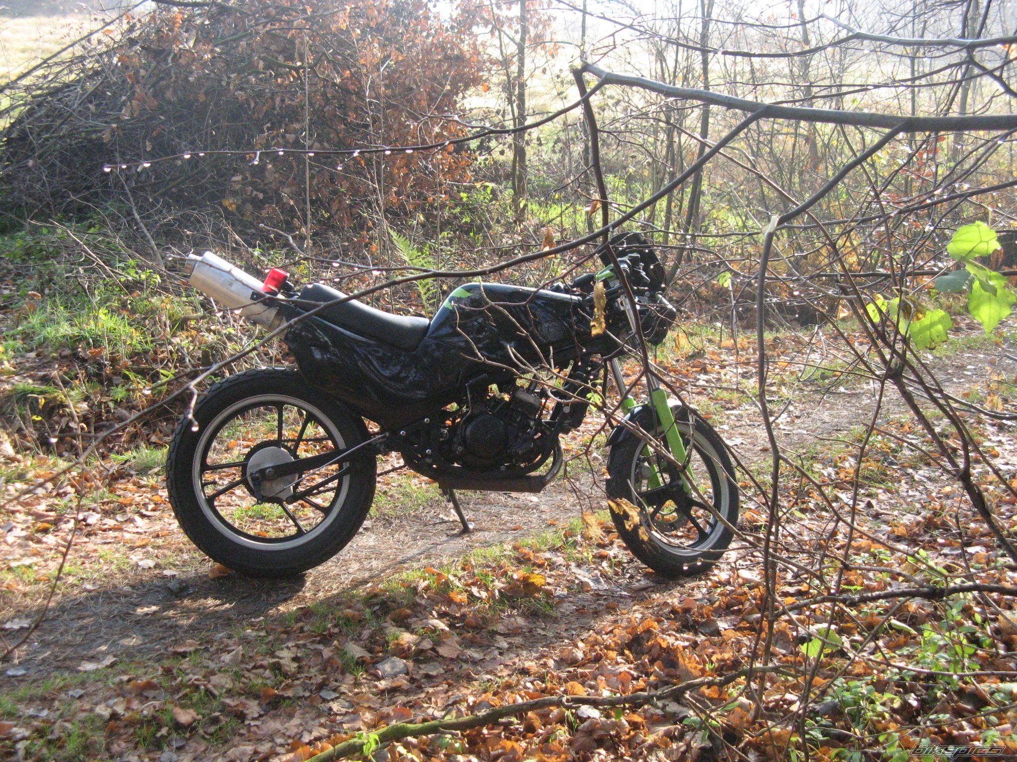 1993 SUZUKI RG 80 | Picture 1476159 motorcycle photo