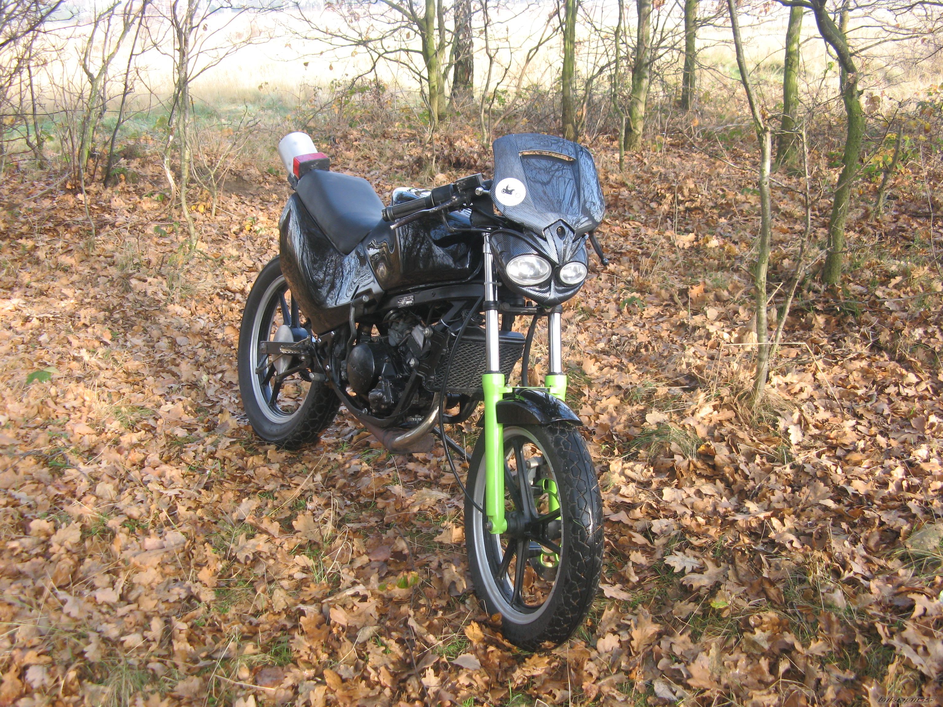 1993 SUZUKI RG 80 | Picture 1476174 motorcycle photo