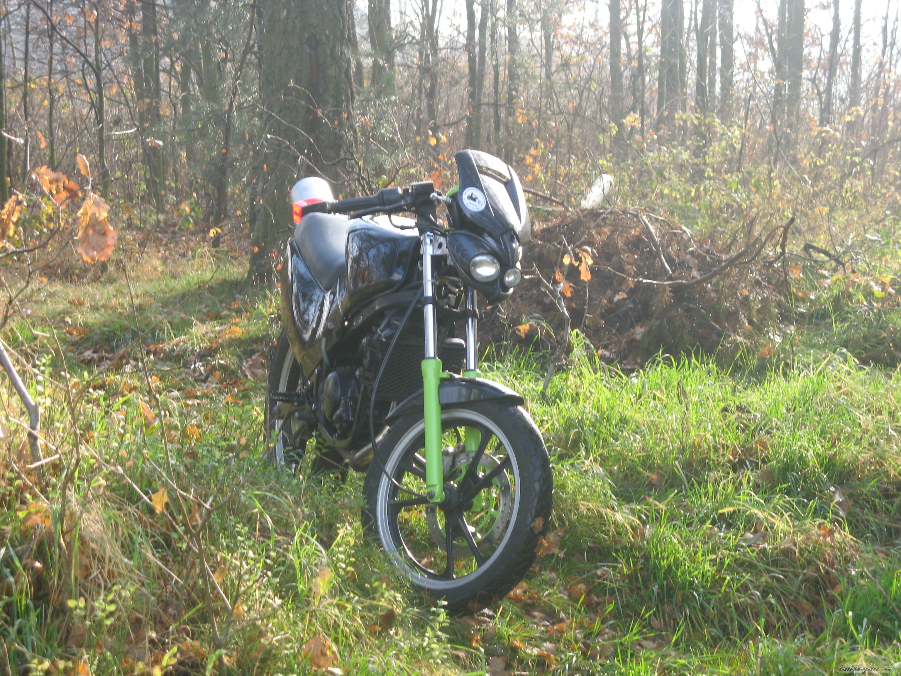 1993 SUZUKI RG 80 | Picture 1476205 motorcycle photo