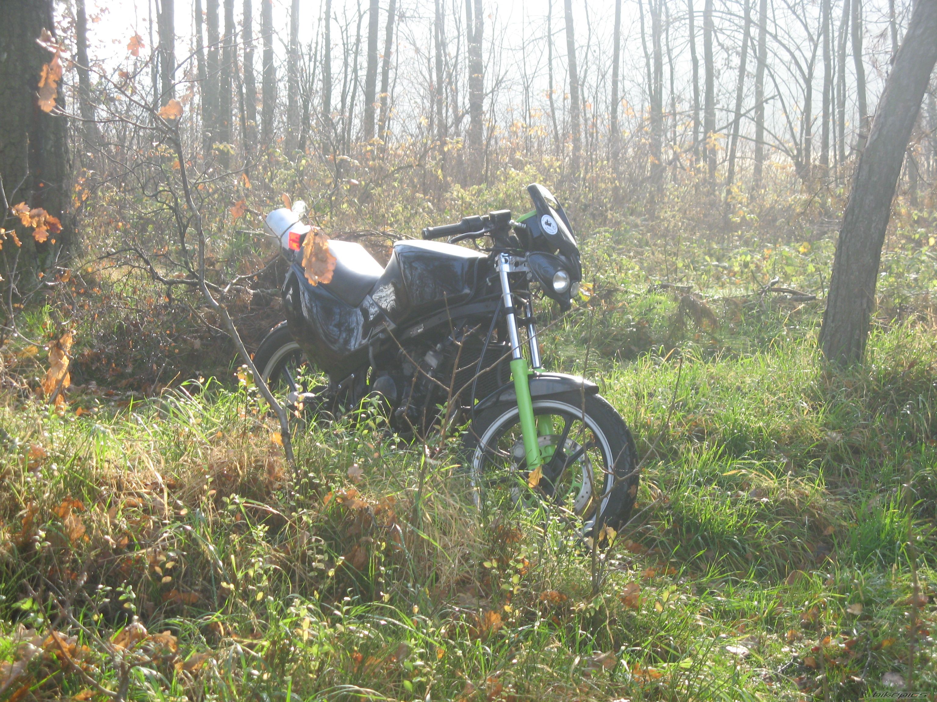 1993 SUZUKI RG 80 | Picture 1476218 motorcycle photo
