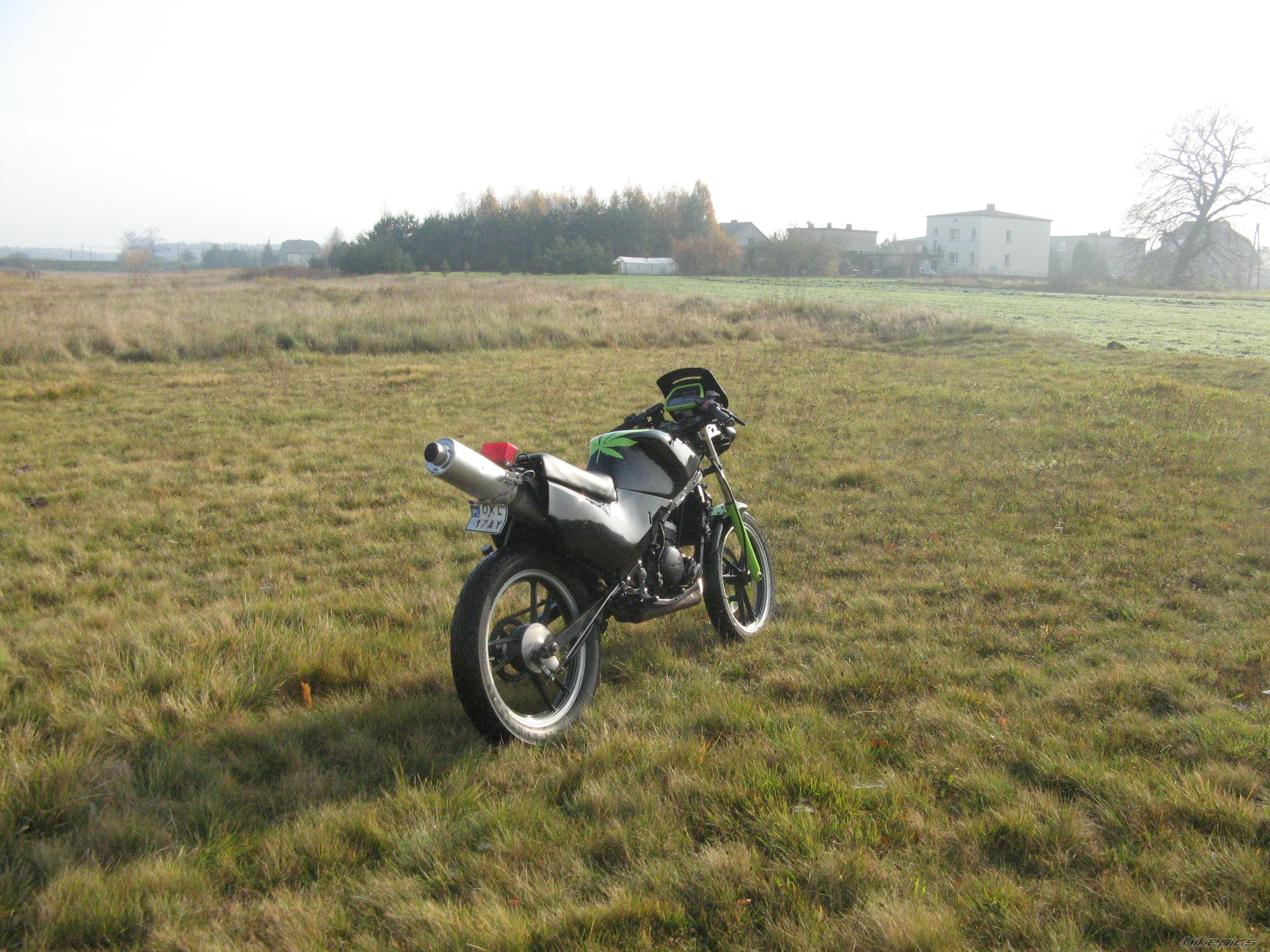 1993 SUZUKI RG 80 | Picture 1476229 motorcycle photo