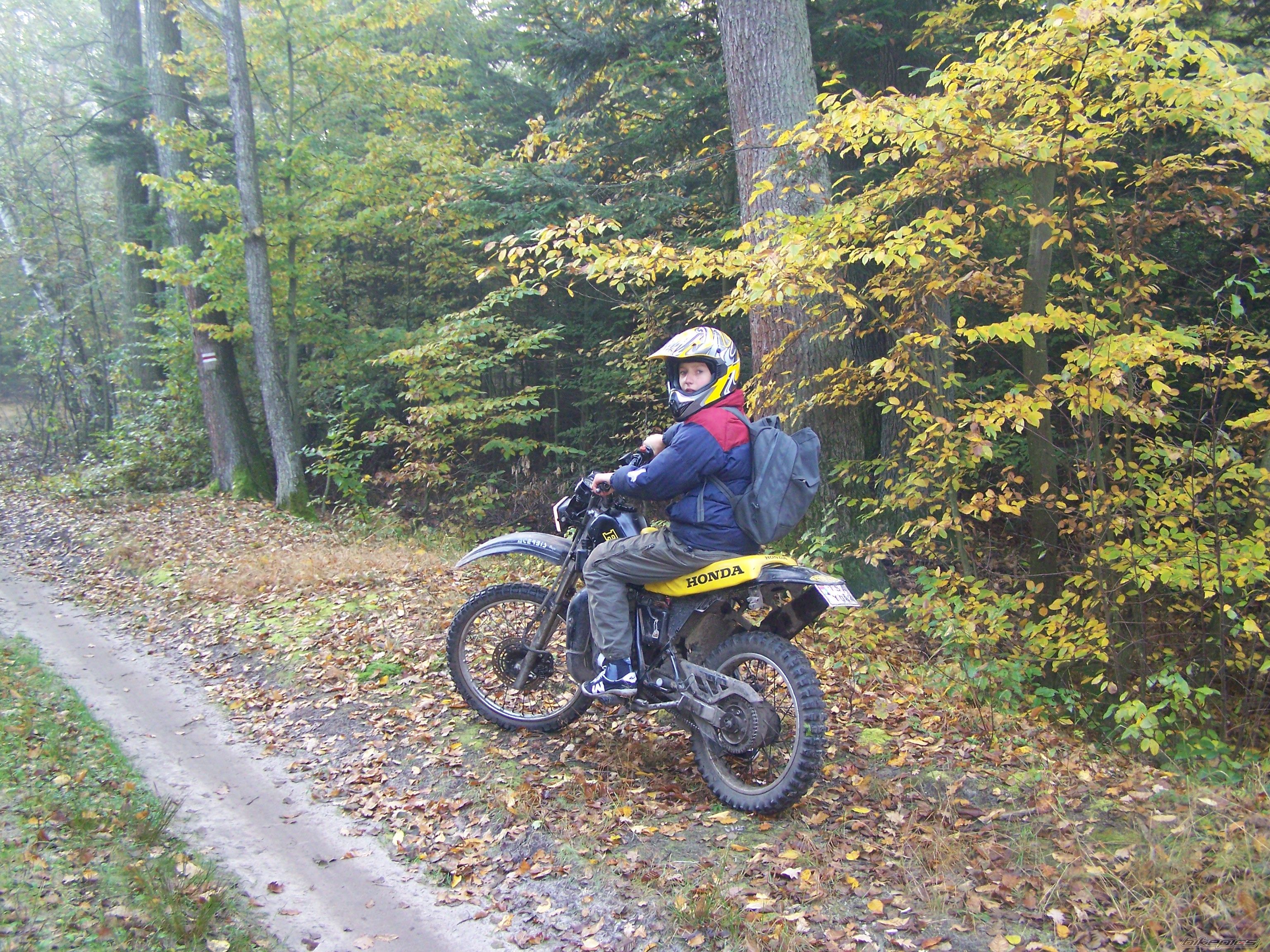 2005 HONDA MTX 80 | Picture 1476258 motorcycle photo