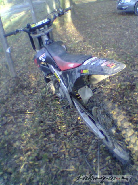 2001 HONDA CR 250 | Picture 1476499 motorcycle photo