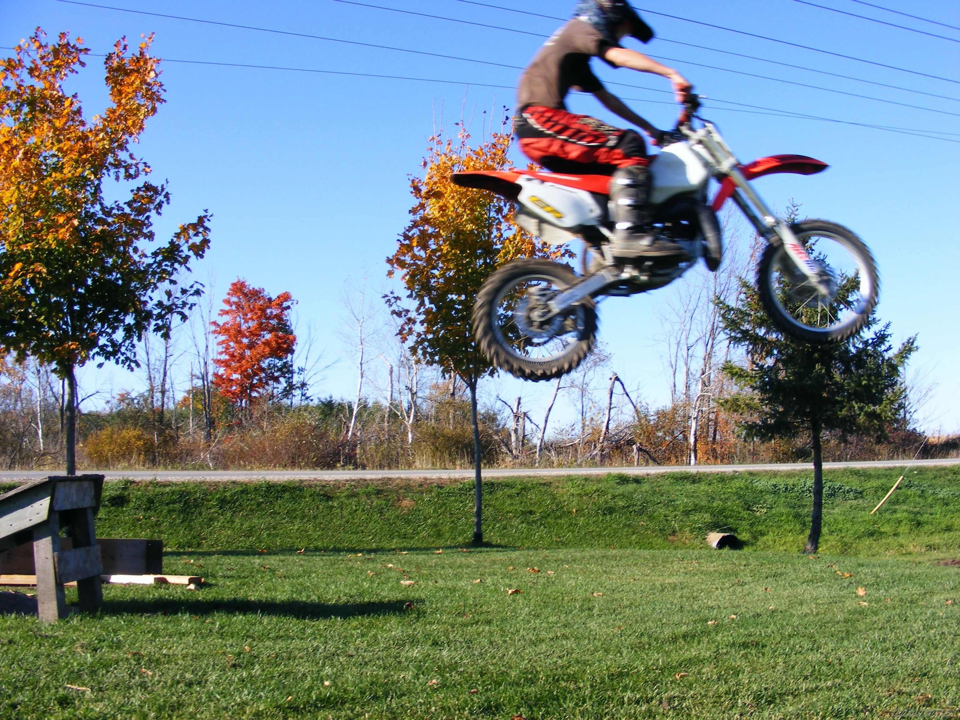 2001 HONDA CR 80 | Picture 1476559 motorcycle photo