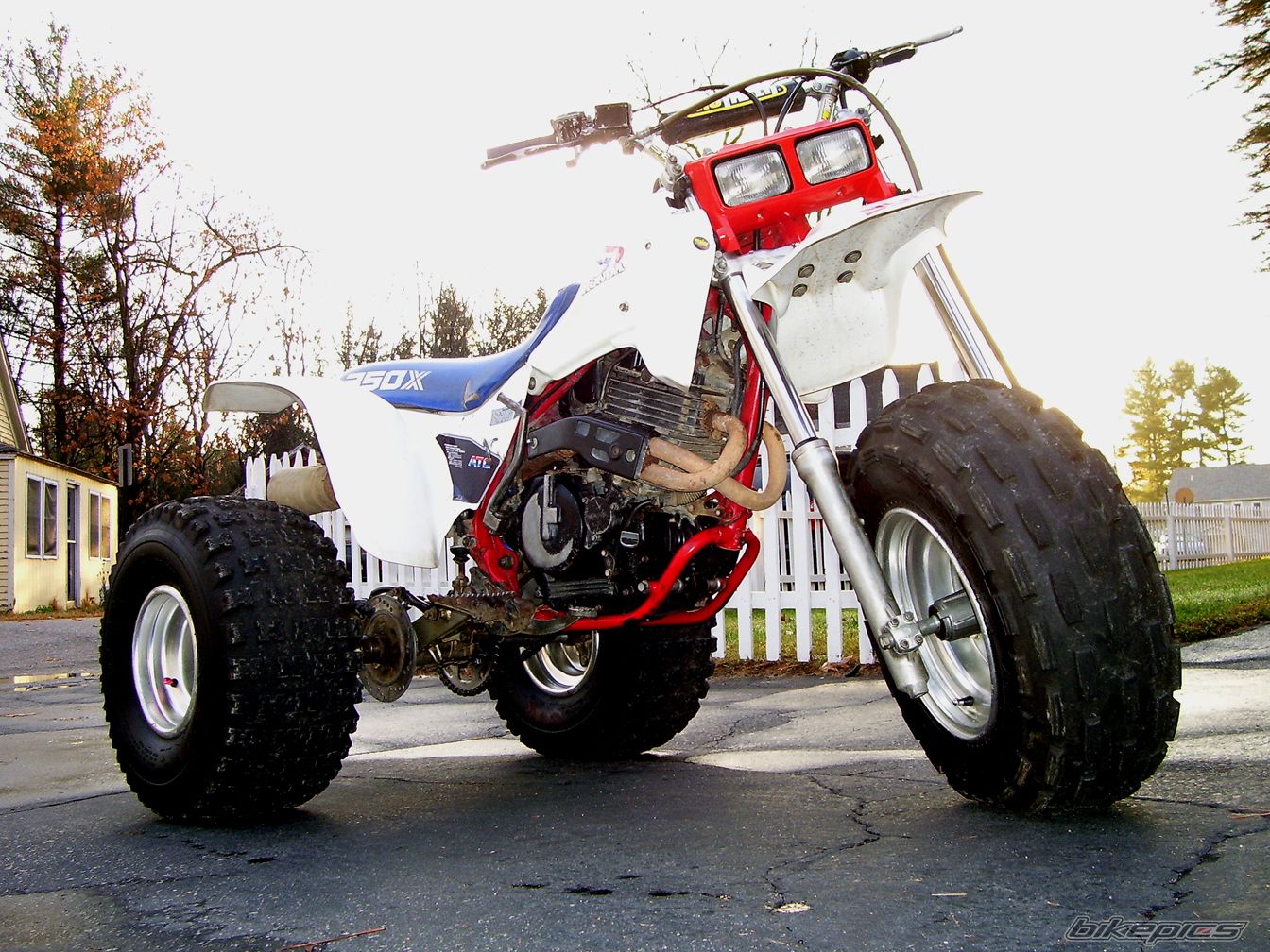 1985 HONDA ATC 350 | Picture 1476561 motorcycle photo